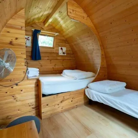 2 Etoiles - Piscine - Eecead *